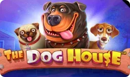 God of Coins – The Dog House